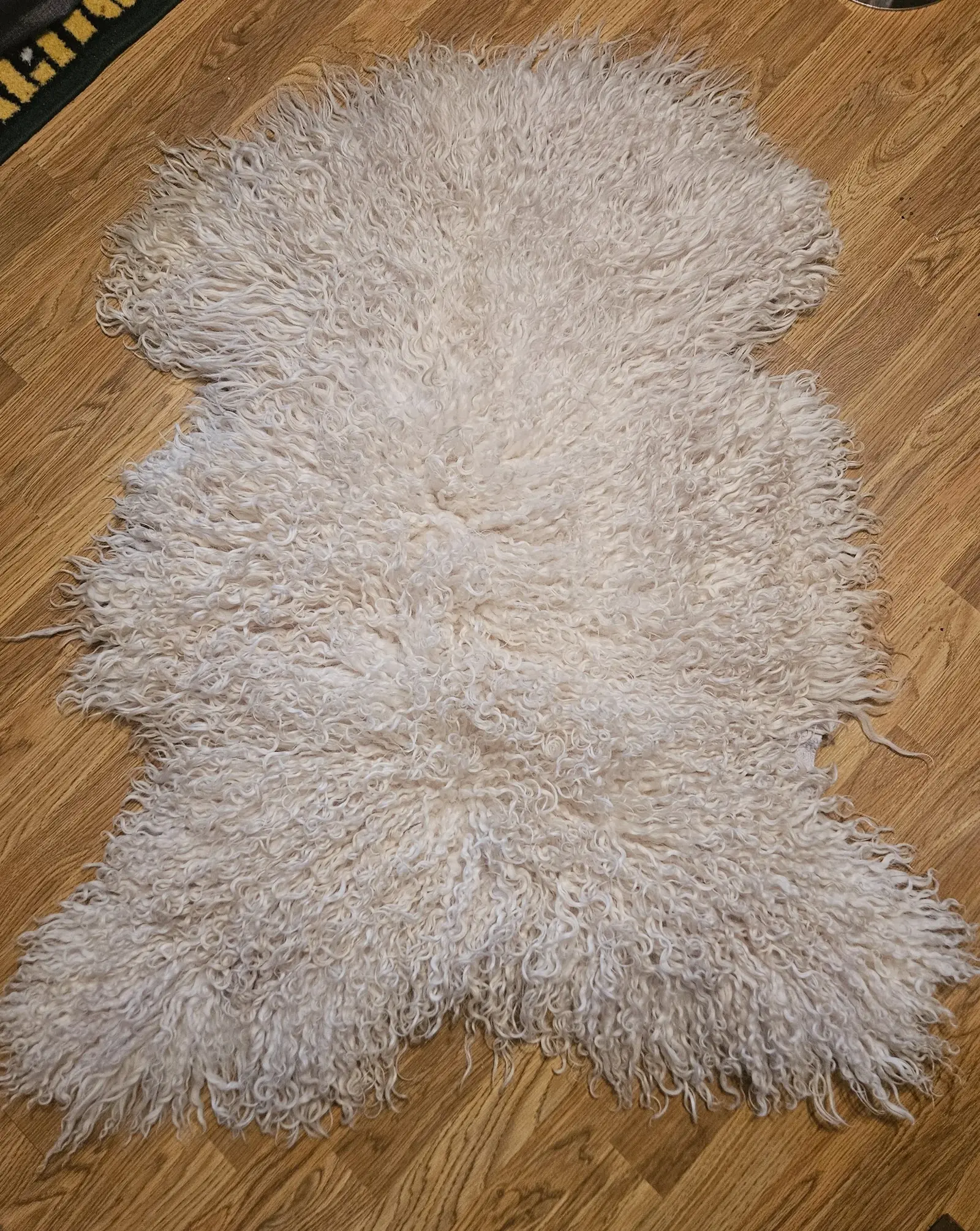 A white curly-fleeced sheep hide laid flat